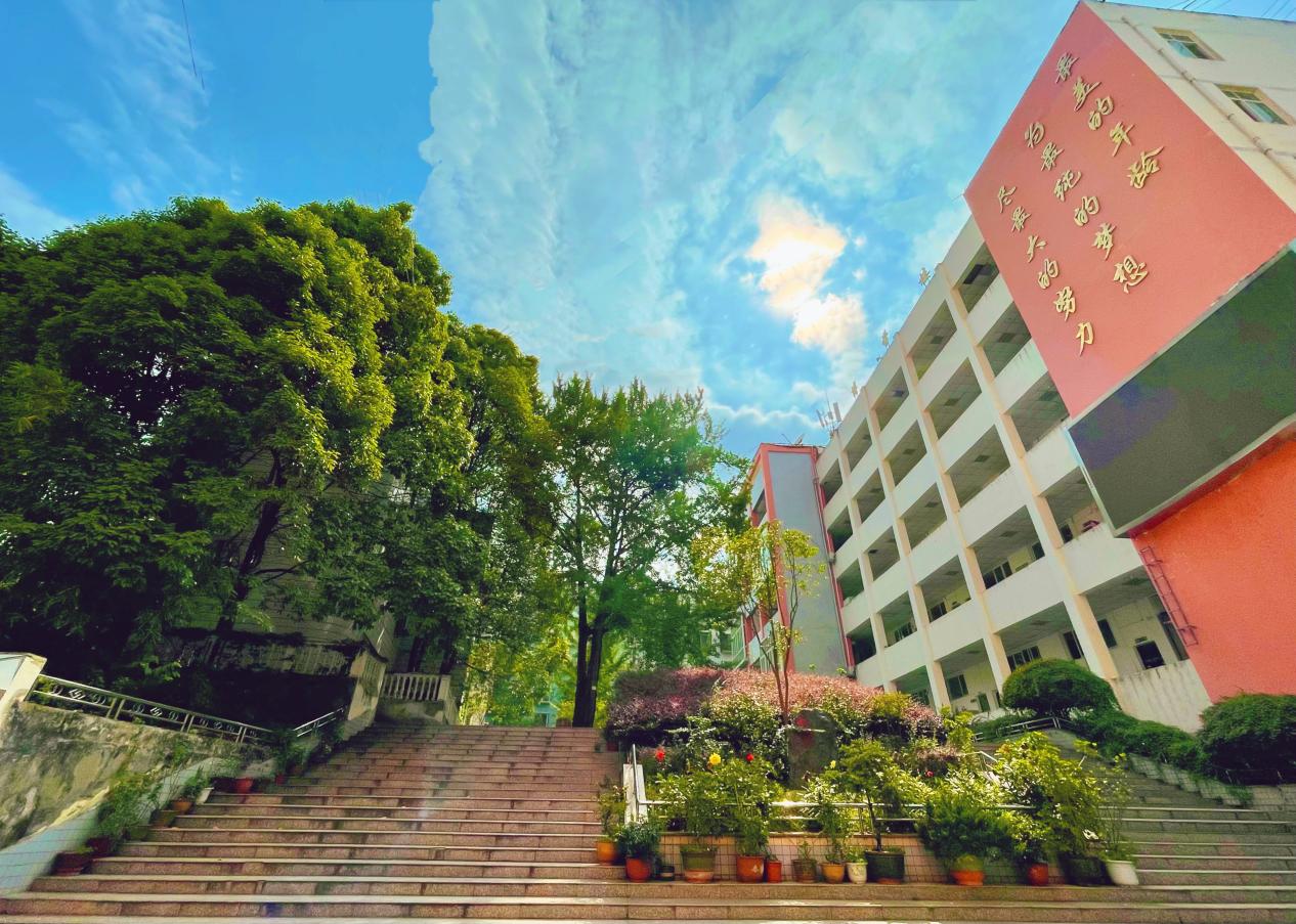 微信图片_2025-07-04_214844_919