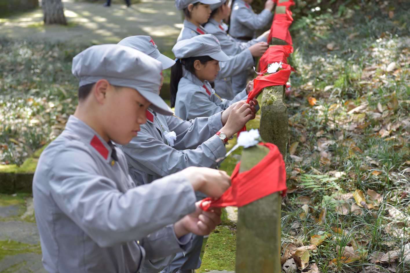 QQ图片20210402163521.png