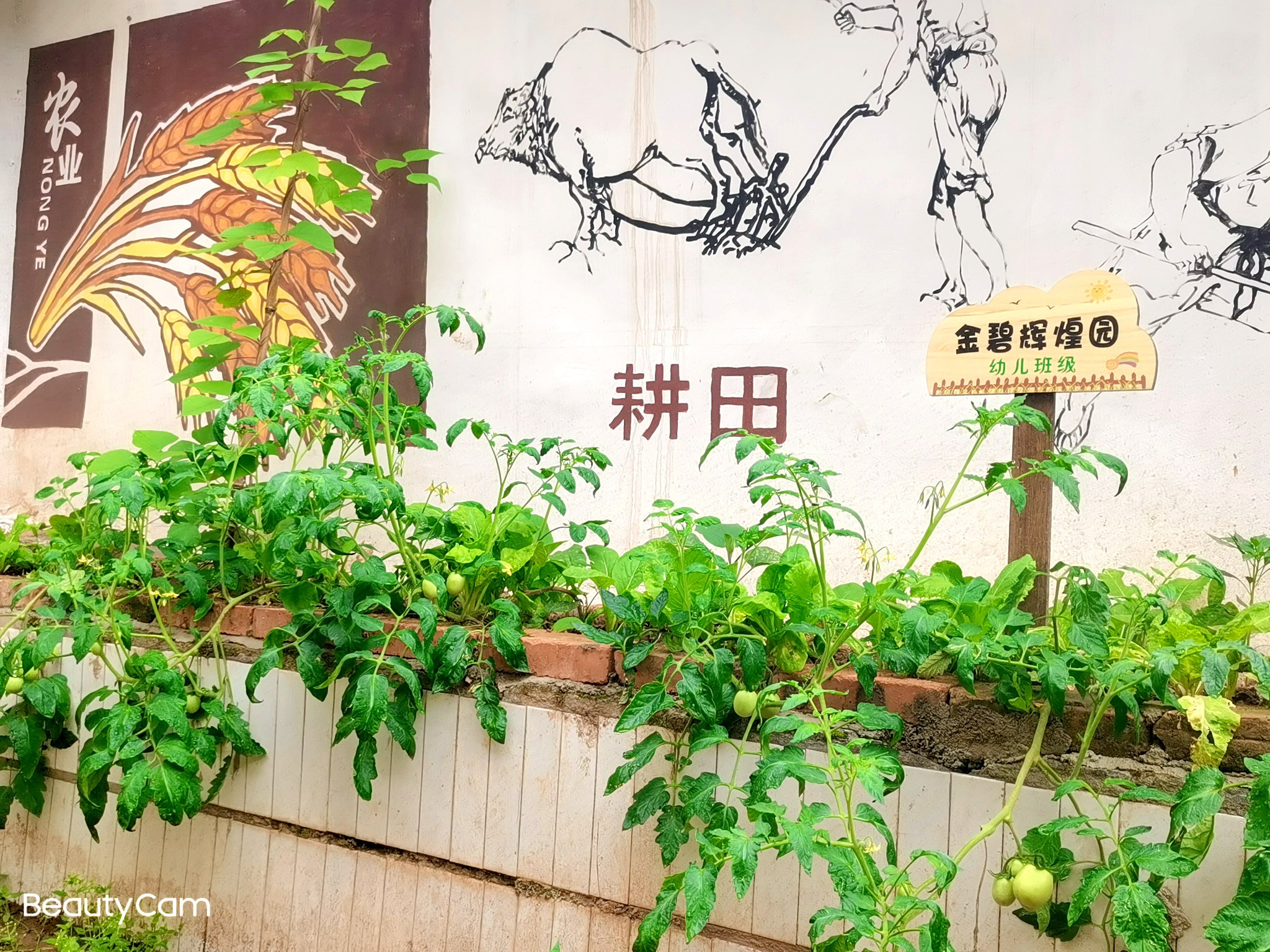 新店小学 (2).jpg