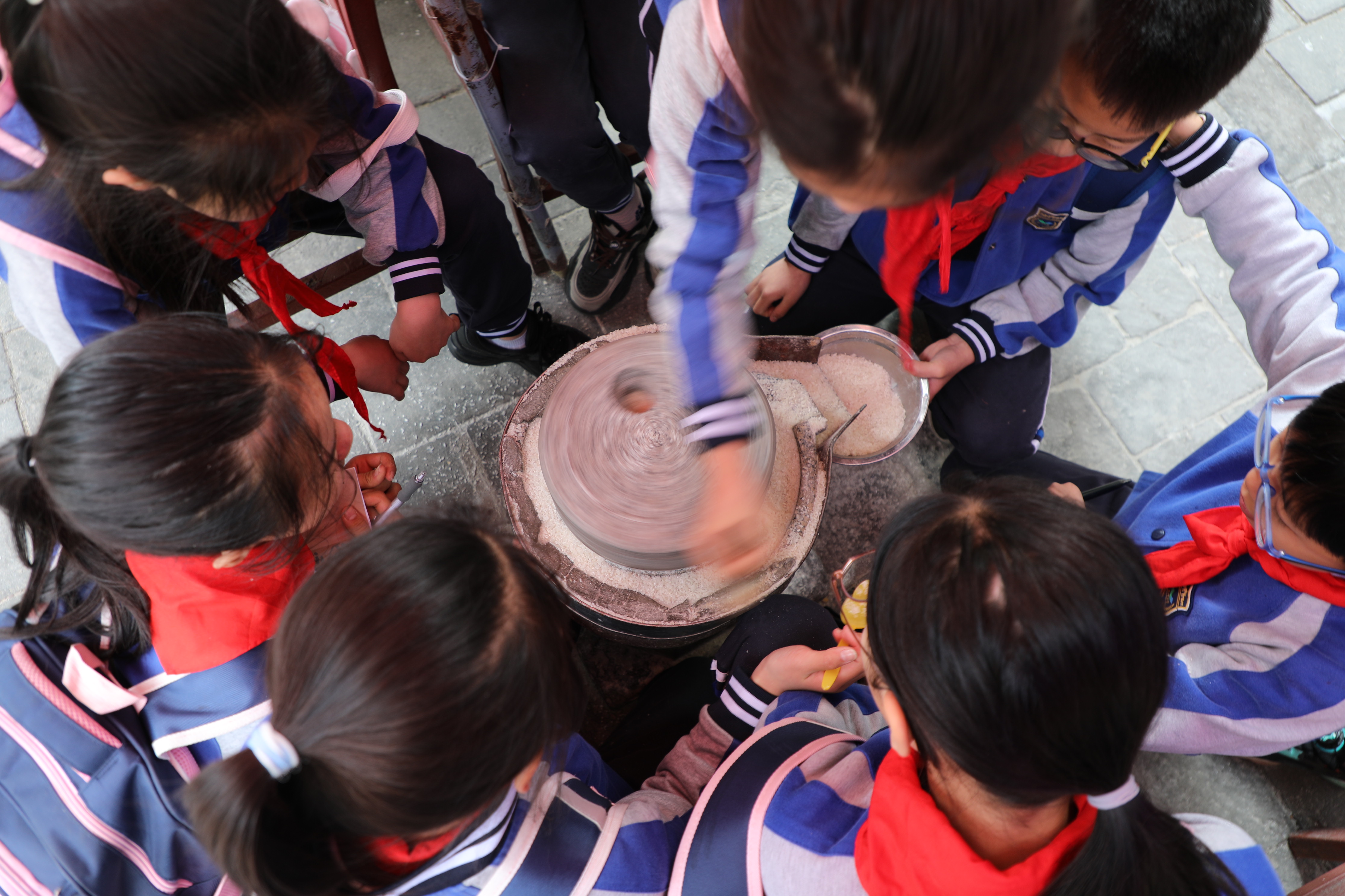 研学现场 (3).JPG