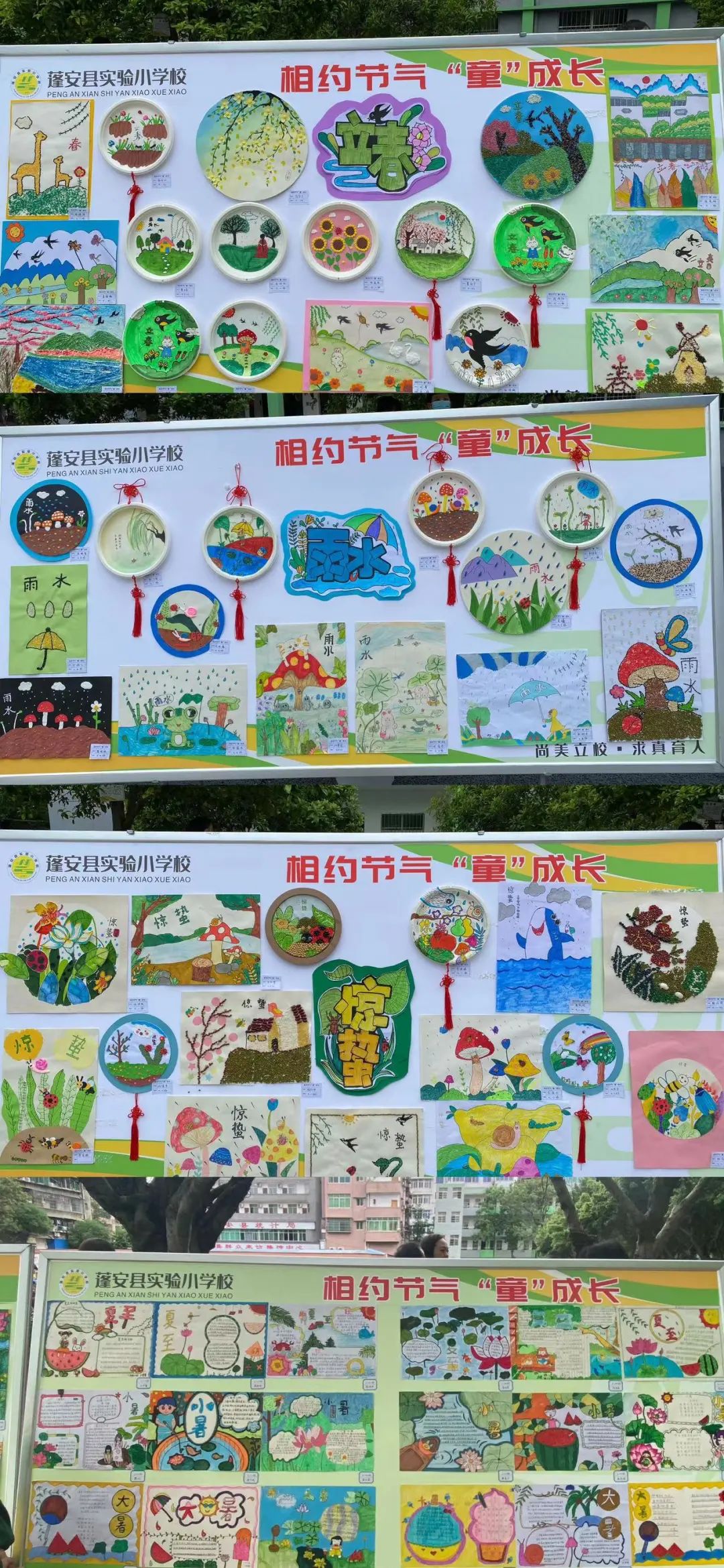蓬安.jpg